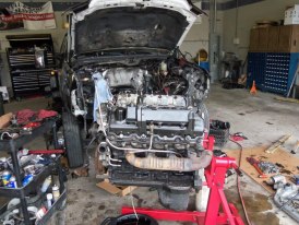 408055_208658329228685_1284771875_n