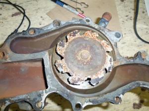 564774_273464872748030_95709395_n